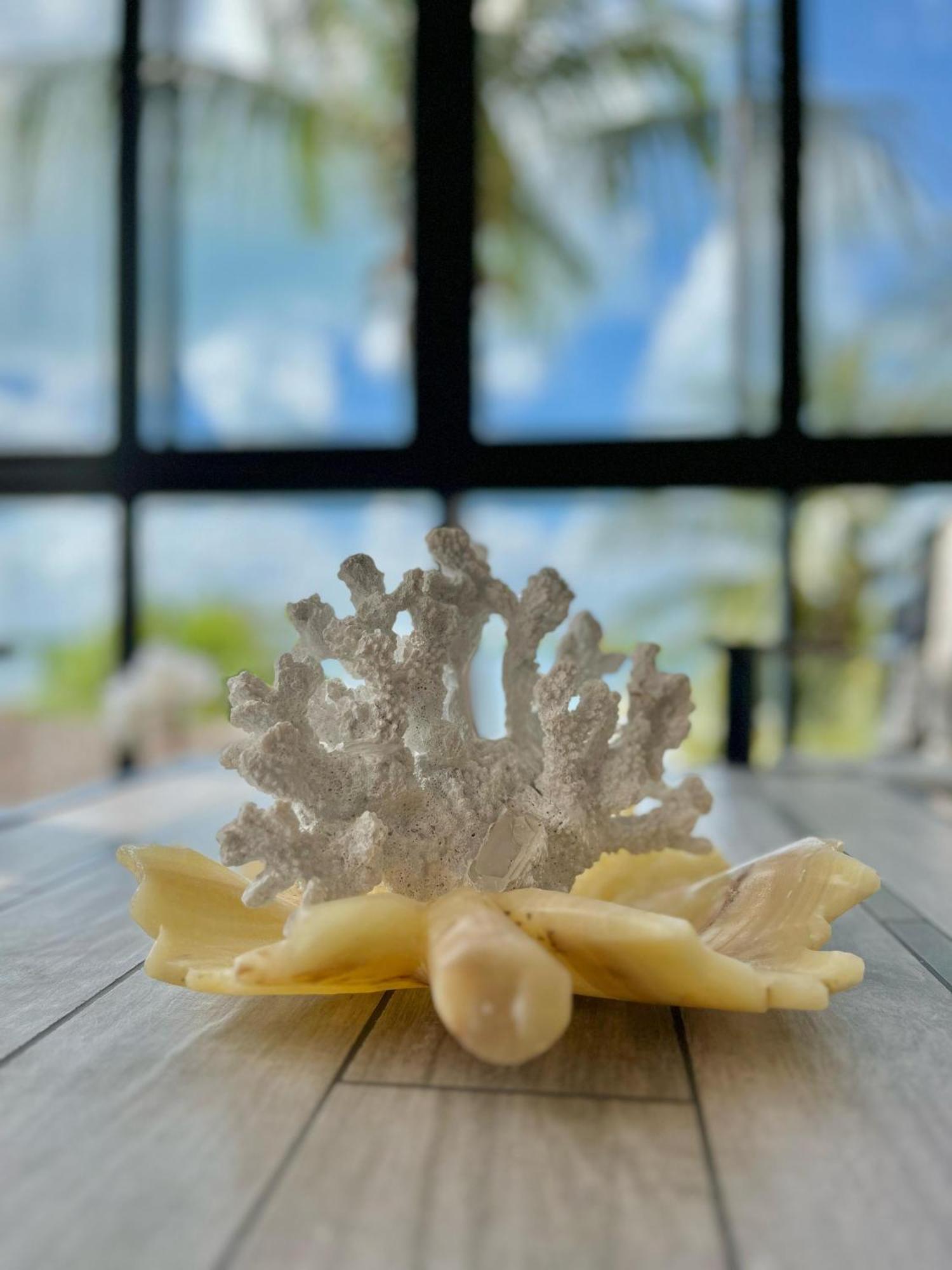 Bahia Tolok Aparthotel Isla Mujeres Luaran gambar